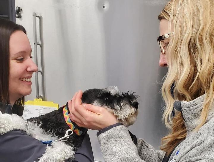 Preventive Care for Dogs